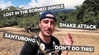 Download Lagu ALMOST ATTACKED BY A SNAKE! | Hidden Beach at Santubong, Whip Snake \u0026 Lost in the Jungle! MP3