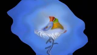 Repuload Windows Xp 4Ormulator Collection In 4Ormulator V21