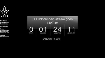 [BLOCKCHAIN] [FLO] programming
