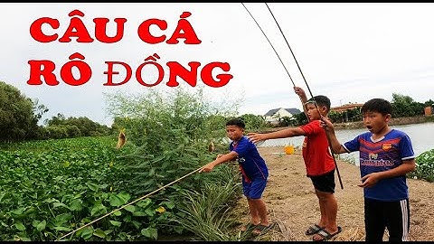 Team Đi Bắt Ong Câu Cá Rô Đồng Quá Nhạy | Bảy Đúng TV