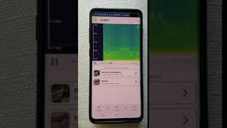 BirdNET in action