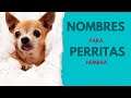 NOMBRES para perritas HEMBRA 🐕❤️