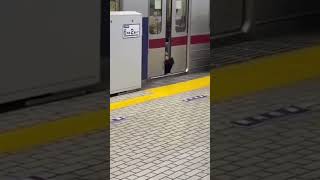 Japanese man&#39;s head nearly squished by train #shorts #japan #travel #vlog #japanese