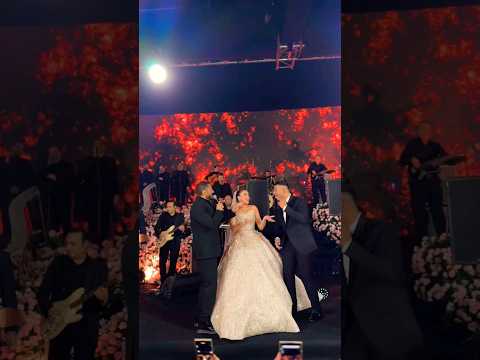 يانا يا مفيش