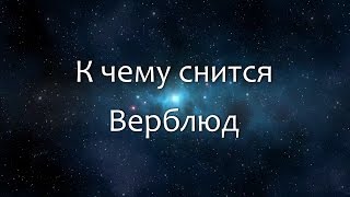 К чему снится Верблюд (Сонник, Толкование снов)(К чему снится Верблюд (Сонник, Толкование снов) http://видео-сонник.рф http://video-sonnik.ru Сон, в котором Вы видите..., 2016-08-12T13:10:44.000Z)