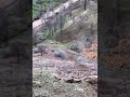 Pushing a massive rock down a hill