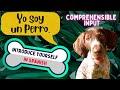 Conociendo a Café y sus Amigos