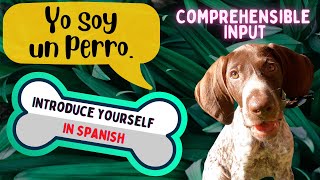 Thumbnail image for How to introduce yourself in Spanish, Learn Spanish from a dog (Spanish Comprehensible Input)