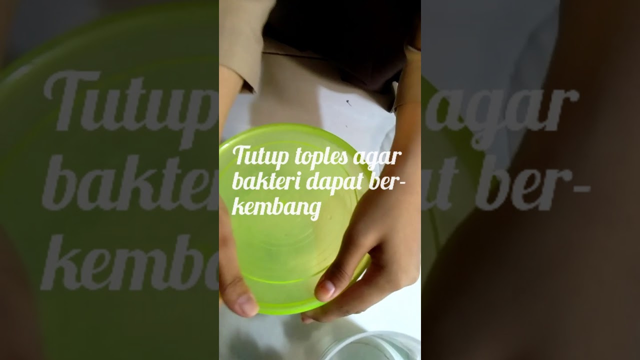 Cara membuat yogurt sederhana mudah praktis dan murah dan berbagai rasa