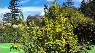 思维漫游416（意识是否与量子的奇葩特性有关？）