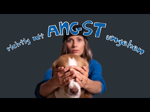 Video: Angst Ist Der Freund Eines Tierarztes (Ihr Haustier Hat Spay-Ängste, Redux)