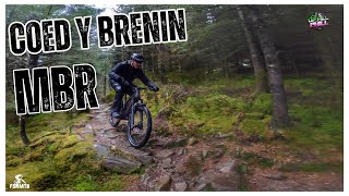 Is this Coed y Brenin’s best MTB trail?