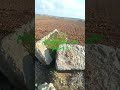 مرحبا بكم 40خدام 1.5مليون خدام