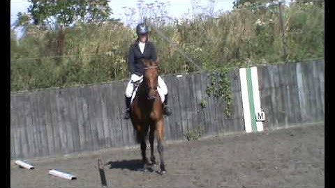 Dressage Test Intro B