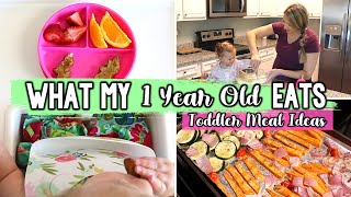 WHAT MY 1 YEAR OLD EATS IN A DAY // Toddler Meal Ideas | Jessica Elle