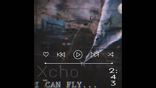 Xcho I can fly slowed