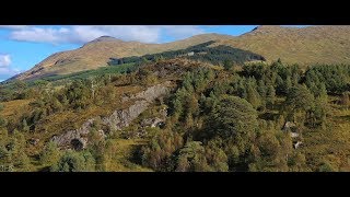 Pine Trees - Scotland - 4K Cinematic Drone Footage