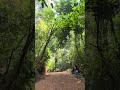 Walking in Dense Forest of Gokarna Karnataka | Clean Air Wild Animals #ytshorts #trending #love #yt