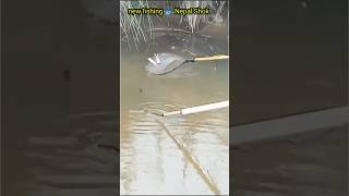 #videos nepal ma electric shock machine le machha mardai video hernu