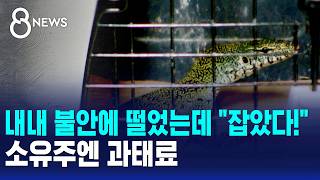 Kept everyone in fear, but We got it!... Owner to be fined / SBS 8 News