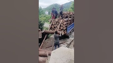 The process of hoisting logs onto the truck using ropes
