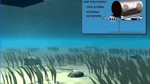 How to Deal with Decompression Sickness