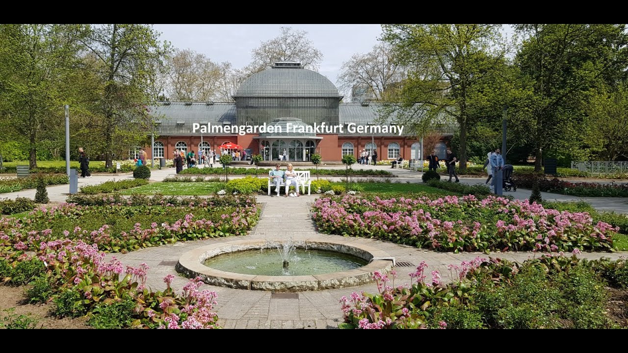 Palmengarten Frankfurt Germany | 150 years Old Botanical Garden🏝 | Palm Gardens |