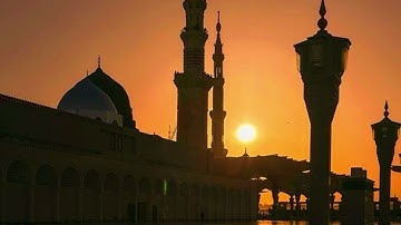 ✨تراويح وقيام الليلة الثالث والعشرون من رمضان ١٤٤٥هـ للقارئ.. (معاذ الزغيبي)