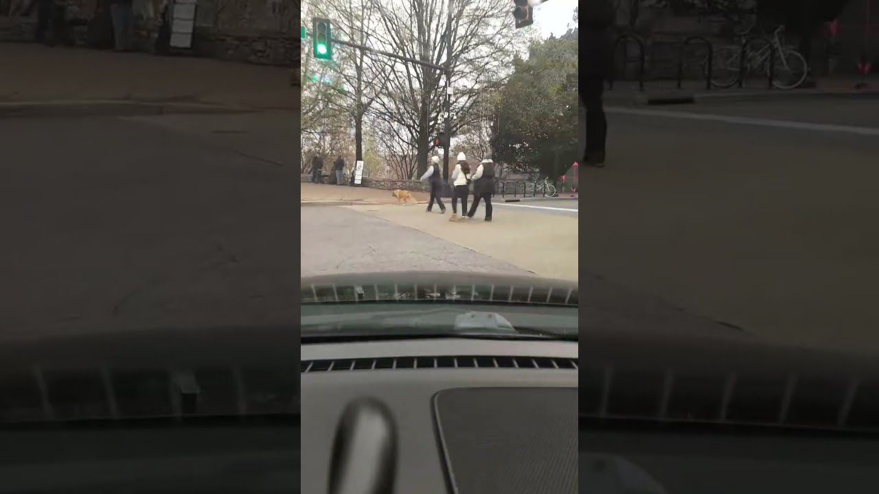 Falls Pk to S Main Greenville 