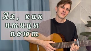 АХ, КАК ПТИЦЫ ПОЮТ… светлая, весенняя песня | поет Максим Соколов