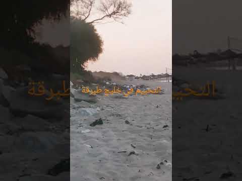 ذكرى من عطلة تونس 2025