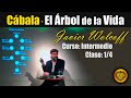 🧡 Clase 1/4 · SECRETOS del ÁRBOL de la VIDA · Curso: INTERMEDIO · Javier Wolcoff · Kabalah Aplicada