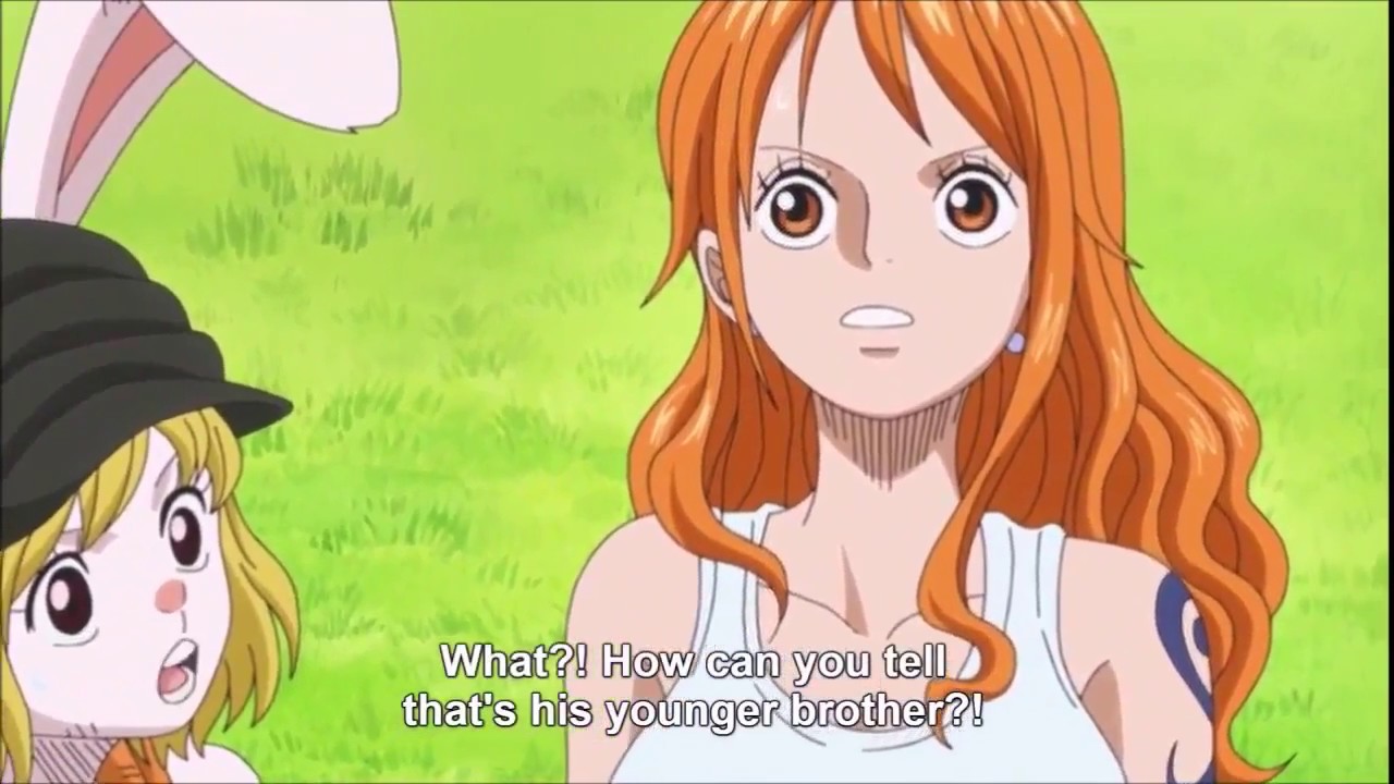 Vinsmoke Yonji And Vinsmoke Reiju Introduction One Piece 784 Eng Sub Hd Youtube