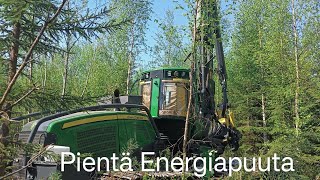 Pientä energiapuuta John Deere 1170G IBC H423