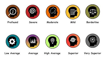 Every Level Of Intelligence Explained in 10 Minutes