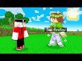 MINECRAFT MA SE SALTO FINISCE IL VIDEO!