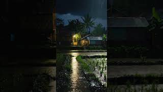 Asmr Hujan Di Desa Malam Hari Suara Alam Untuk Tidur Nyenyak