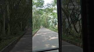 #shayari #explore #explorepage #trending #viralvideo #trendingnow #viralvideo#aifails #entertainment