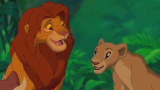 Oh dear this is awkward (Simba & Nala)