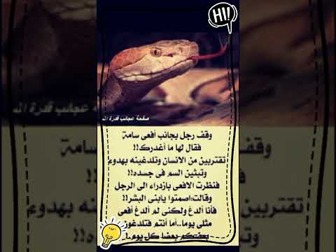 ماذا قالت الأفعى للرجل عندما قال لها إنك تلدغين الناس 