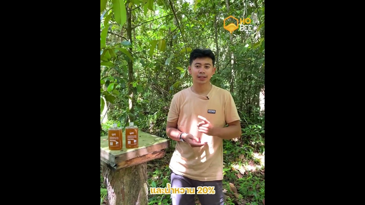 หมดปัญหาเรื่องสุขภาพด้วย HOBEE น้ำผึ้งชันโรงแท้ 100%