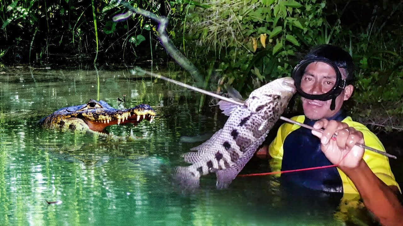 Pesca Con Arpón En Un Río Lleno de Lagartos