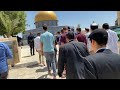 Return to the Temple Mount!