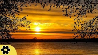 Music for Sleeping, Soothing Music, Stress Relief, Go to Sleep, Background Music, 8 Hours, ✿3264C