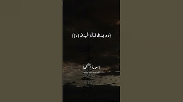 سورة الضحى الآية ٦ الى ٨ بصوت الشيخ محمد صديق المنشاوي