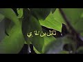 إي اك ومصـــاحبة اللئيــــم 