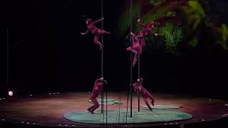 Watch Cirque Du Soleil Ants video