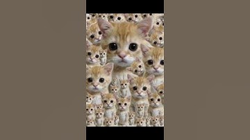 El Gato and Banana Cat Plays Roblox😻 #elgato #bananacat #roblox #brookhaven