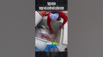 Tại Sao Thịt Cá Ngừ Có Màu Đen? #suthatthuvi #facts #cothebanchuabiet #kechuyen #learning