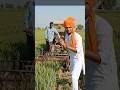 गरीब किसान की पावर मशीन 🚜 | ₹200 तेल में 3 बीघा कटाई | Mini Combine Harvester #youtubeshorts